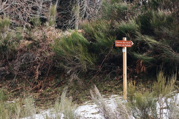 Comment faire un petit chemin de jardin en pierres ?