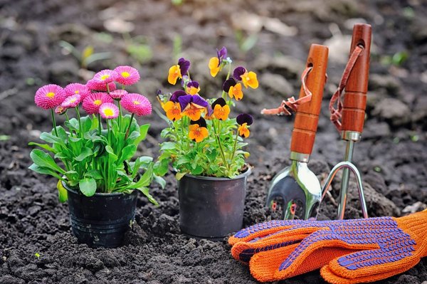 Votre guide sur le blog du jardinage et du bricolage