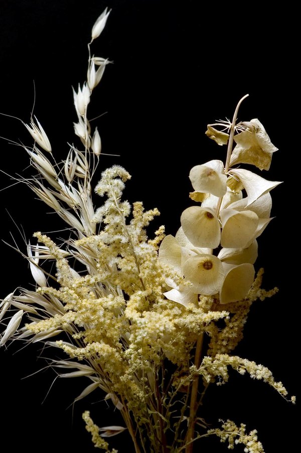 Beauté éternelle : le charme du bouquet fleur séchée
